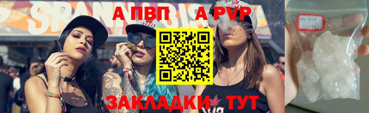 A PVP СК Гулькевичи